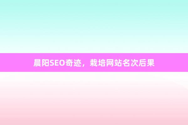 晨阳SEO奇迹，栽培网站名次后果